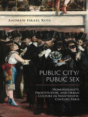 cover image of Public City/Public Sex